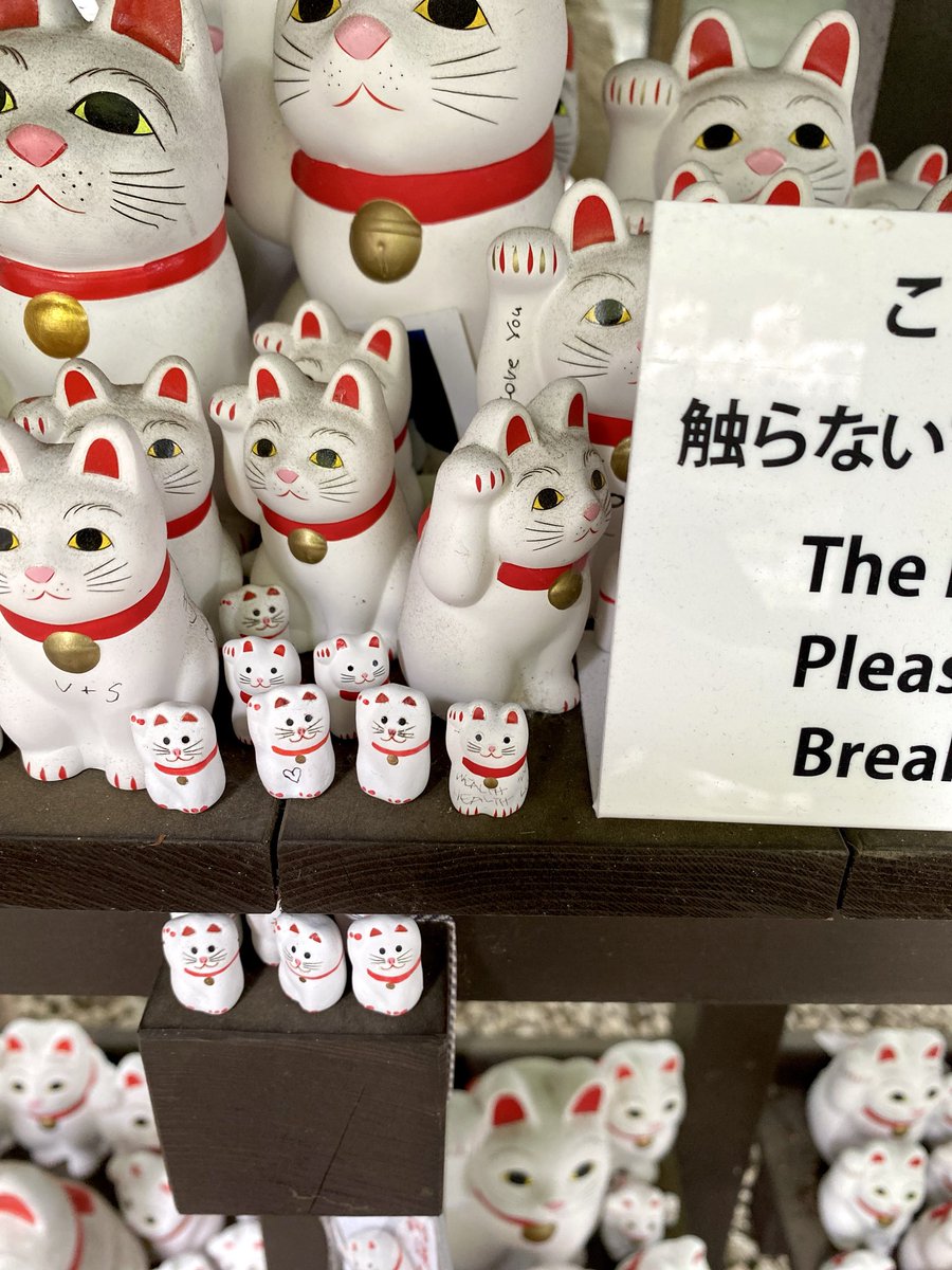 tirolnyan's tweet photo. 豪徳寺で御守りを授かって奉納してきました
お空の先代ちゃんと、ちーたんの御守り。
ずっと幸せを願ってるよ💙🤎 https://t.co/EYPj5yCUPj