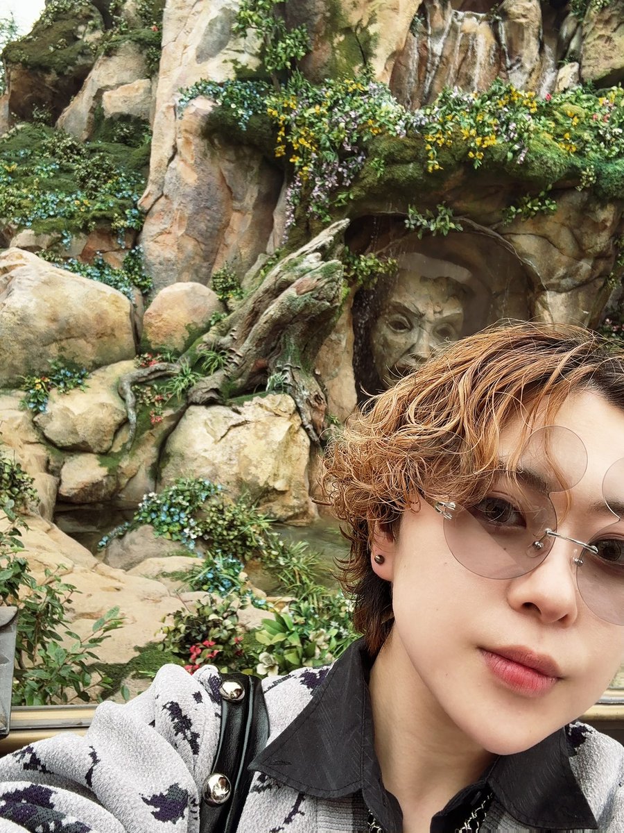 kiyoshimadayo's tweet photo. でか感動 https://t.co/rA6vWVVFKk
