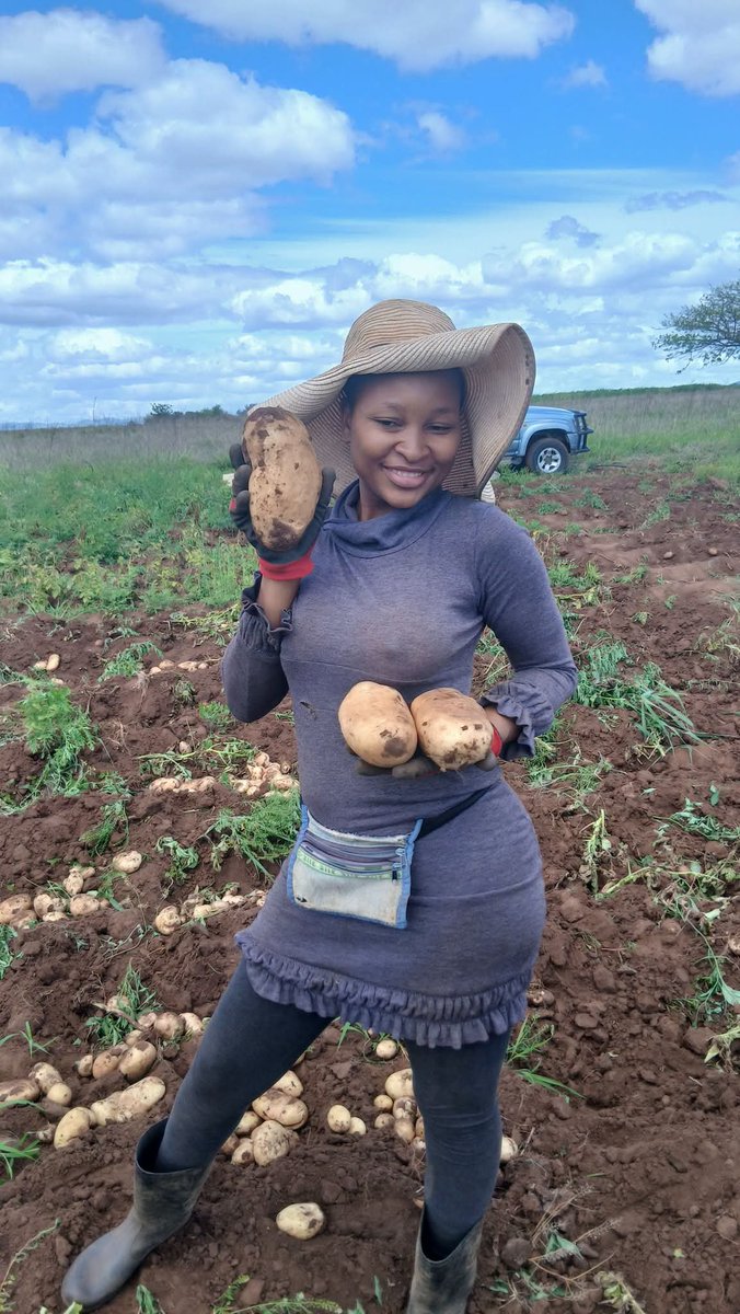 MzansiThirdEye's tweet photo. A young farmer Noxolo Londiwe Sangweni at Jozini KZN https://t.co/vQJ84dwRwK