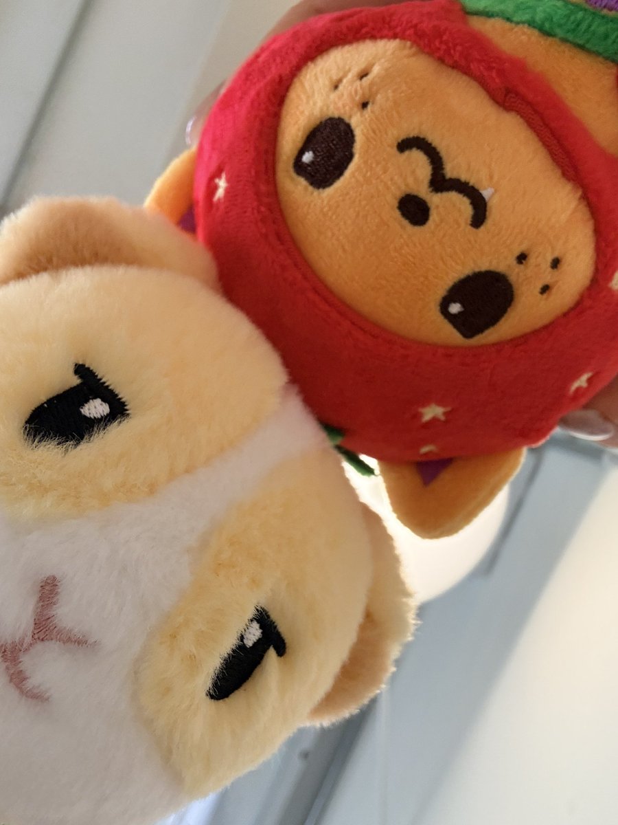 zzuging_'s tweet photo. 환자분 정신이 좀 드세요? https://t.co/aM6tqpe8aa