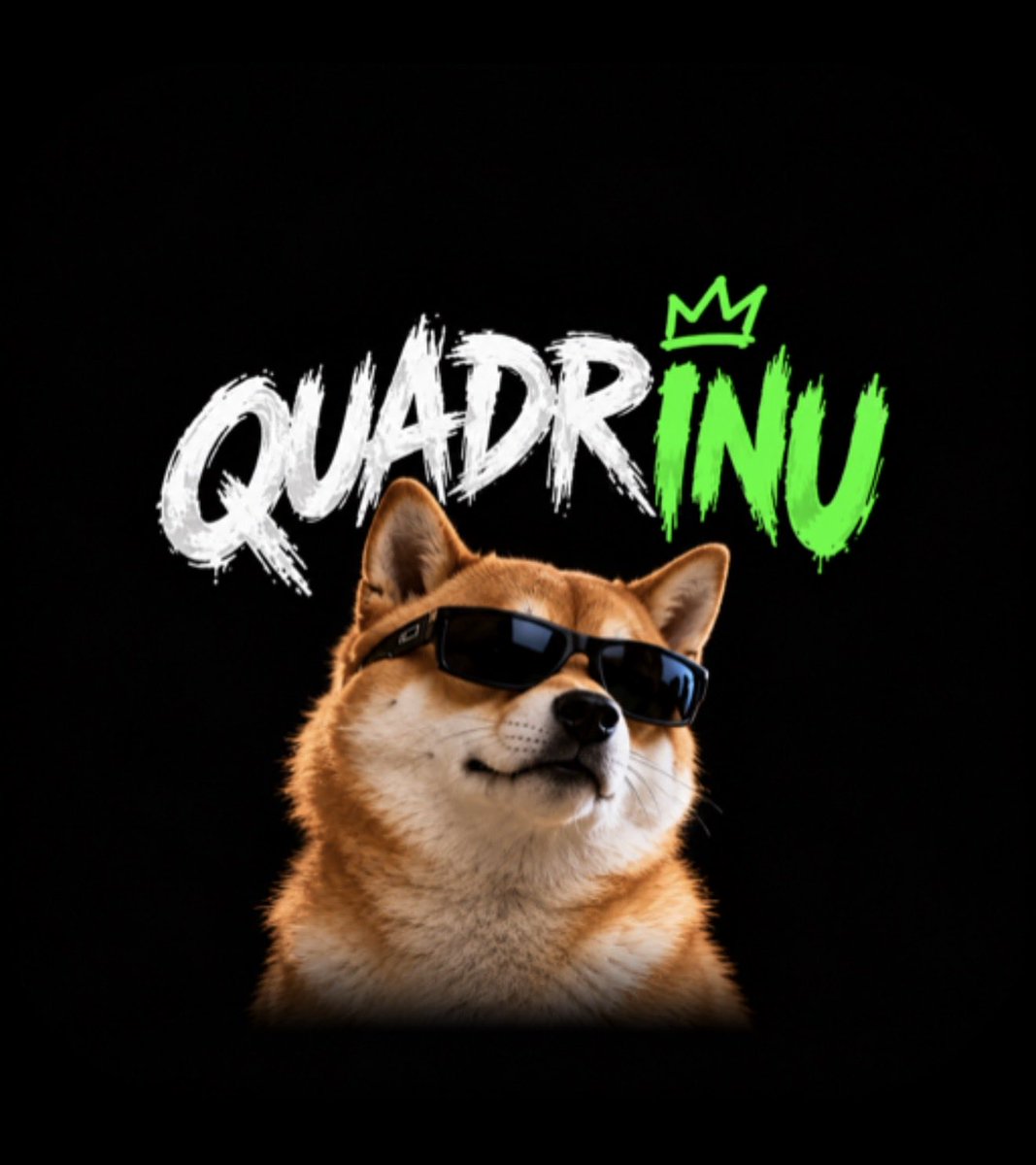 Ferhbbog's tweet photo. QUADRINU to the moon.
BUY BEFOR IT BLOWS UP https://t.co/pRZh7ILWf8