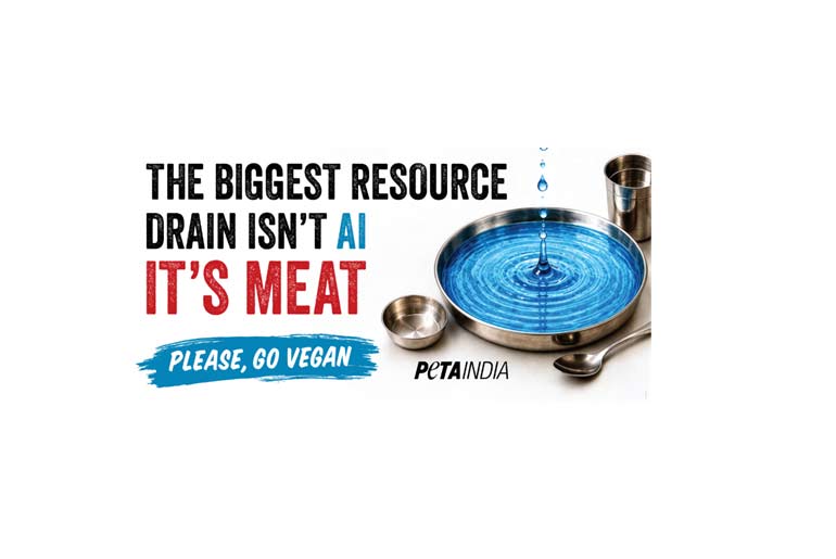 MediaInfoline's tweet photo. Amid AI Concerns, PETA India Bengaluru Billboard Campaign Says Meat Industry is WORSE for the Environment & Animals
More : https://t.co/Q53dxH1H5Y
#mediainfoline #AIConcerns #PETAIndia #Bengaluru #BillboardCampaign #MeatIndustry #WORSE #Environment #Animals
@peta @PetaIndia https://t.co/kU3kYLsASS