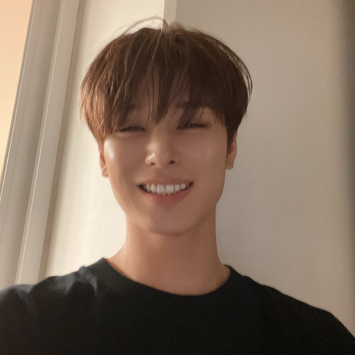 dailyljy's tweet photo. hihi cat https://t.co/8kjjQ1e5az