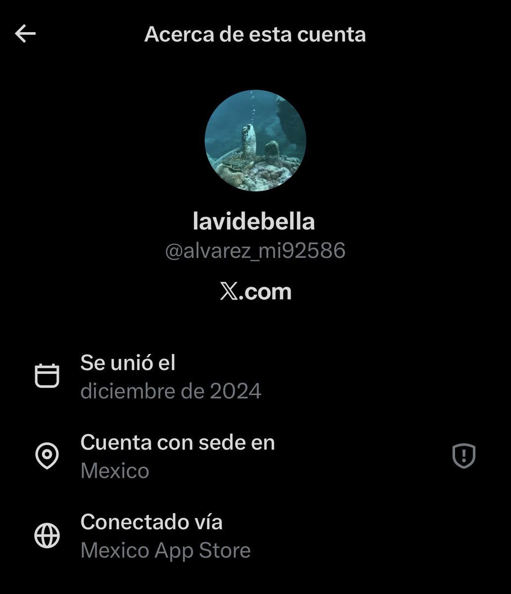 Jimin_lo7's tweet photo. IMPORTANTE: Michell Alvarez anda por aquí en x con varios usuarios, la tonta no se a dado cuenta que podemos ver sus antiguos nombres y todas las múlti cuentas que tiene. Se anda paseando con capturas fake, como solo a ella le gusta hacer, haciéndose la víctima. https://t.co/fHqNVqyUS6