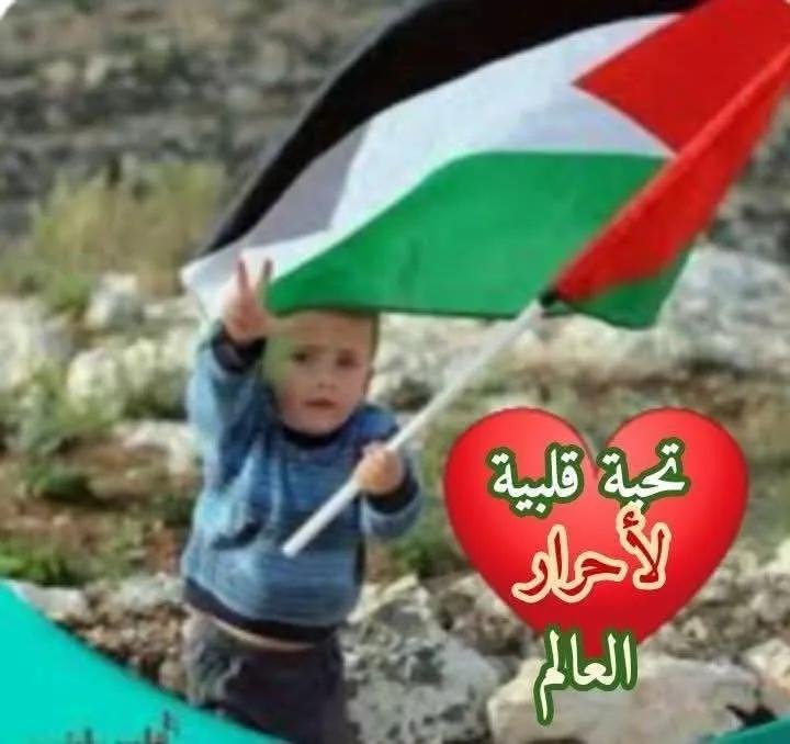 Badawi_197444's tweet photo. @Ania27El حسبنا الله ونعم الوكيل في كل الظالمين الله ينتقم من كل الظالمين ومن والاهم😢😢😢. https://t.co/I4vzDNkOSH
