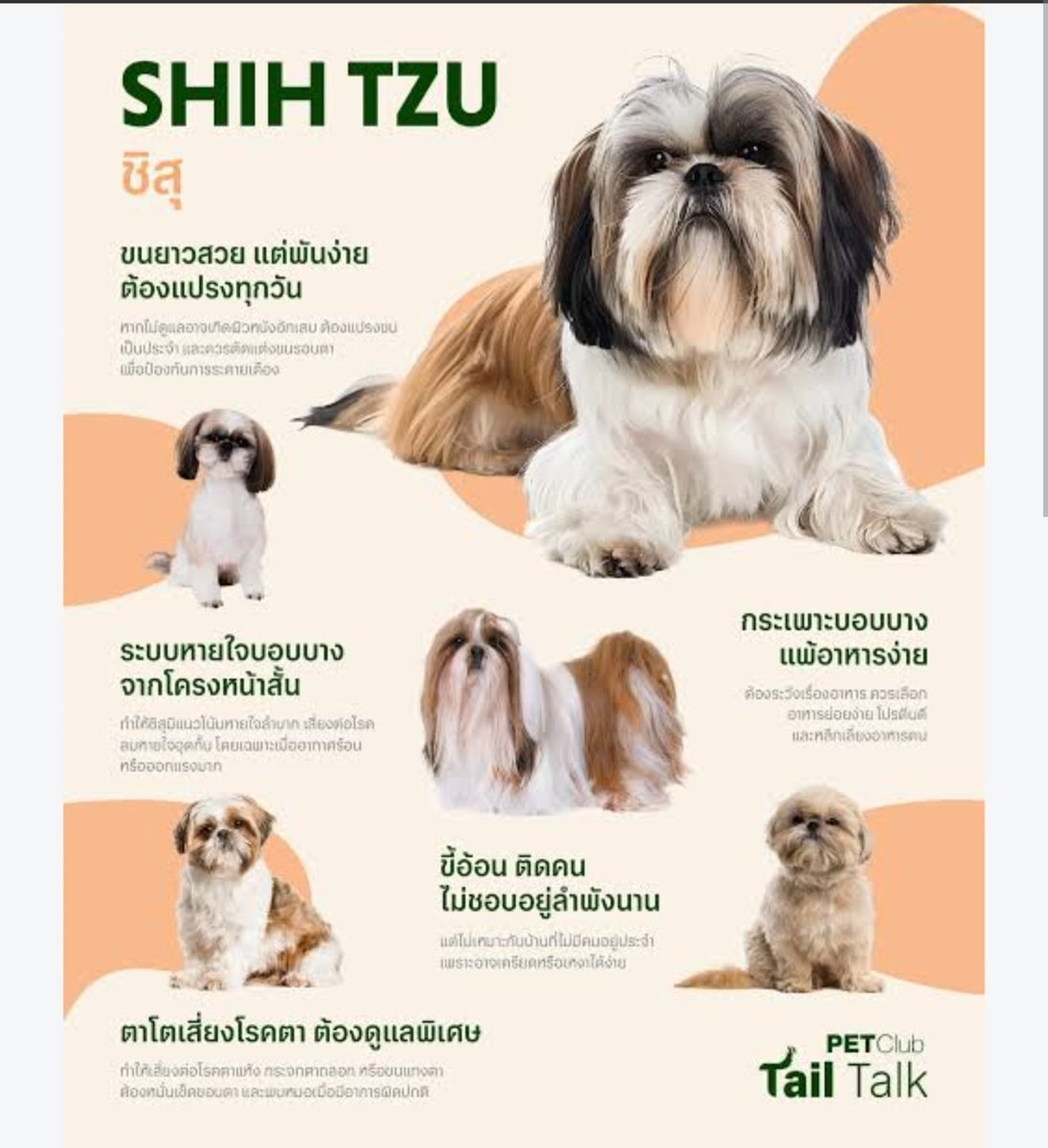 unfa21606's tweet photo. ทาสสสสสสสส https://t.co/F3QEktieHL