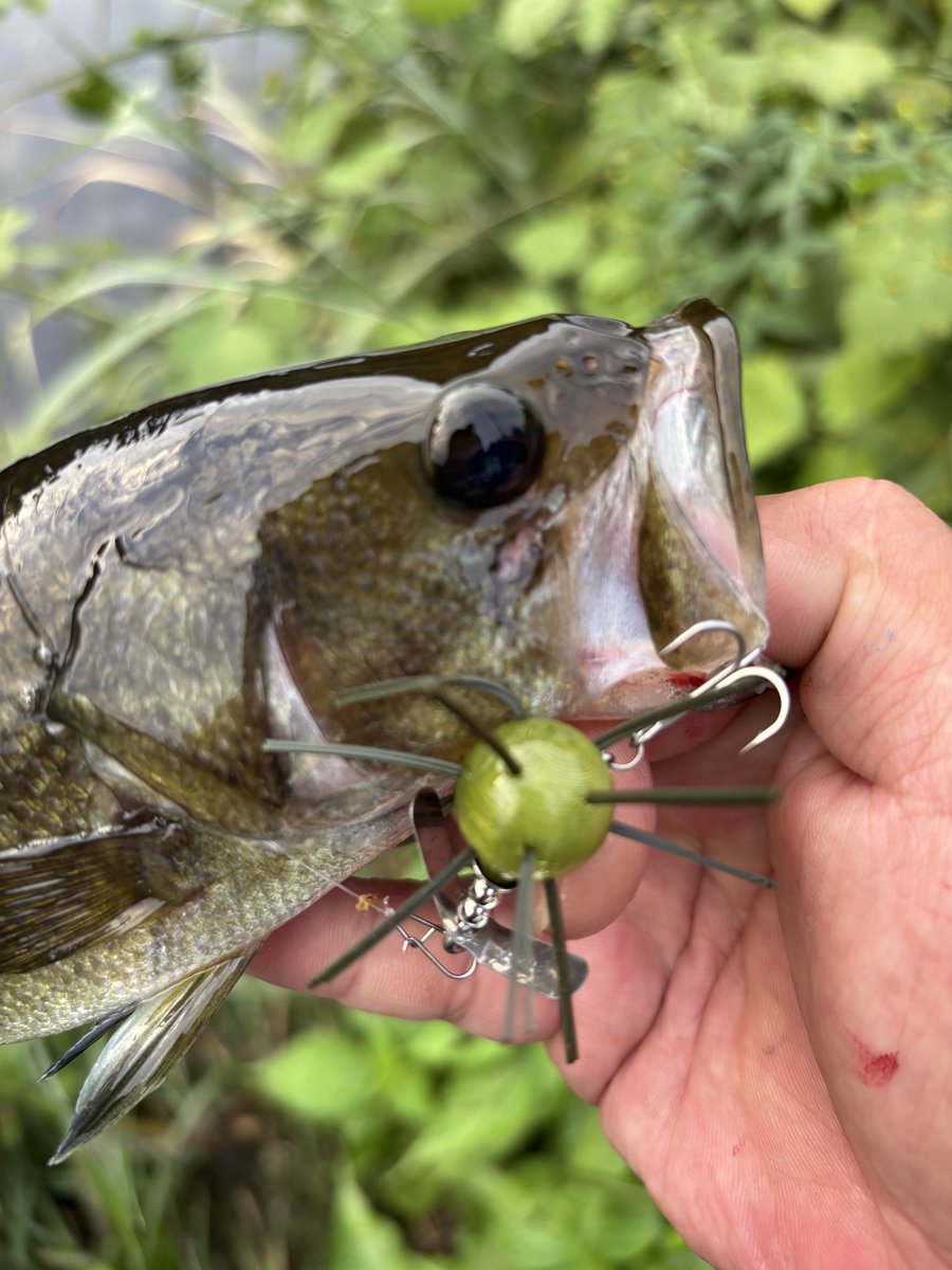 thtackle2's tweet photo. 裏で進めていたホバリンブライスのプロペラを搭載したモデルが完成しており、フィールドテストでも満足できるレベルになっています。
これはしばらく自分だけで使いたかったのですが、リップ付きが抜けた穴を埋めるために前倒しでの販売となります。 https://t.co/eyy2221Ycl