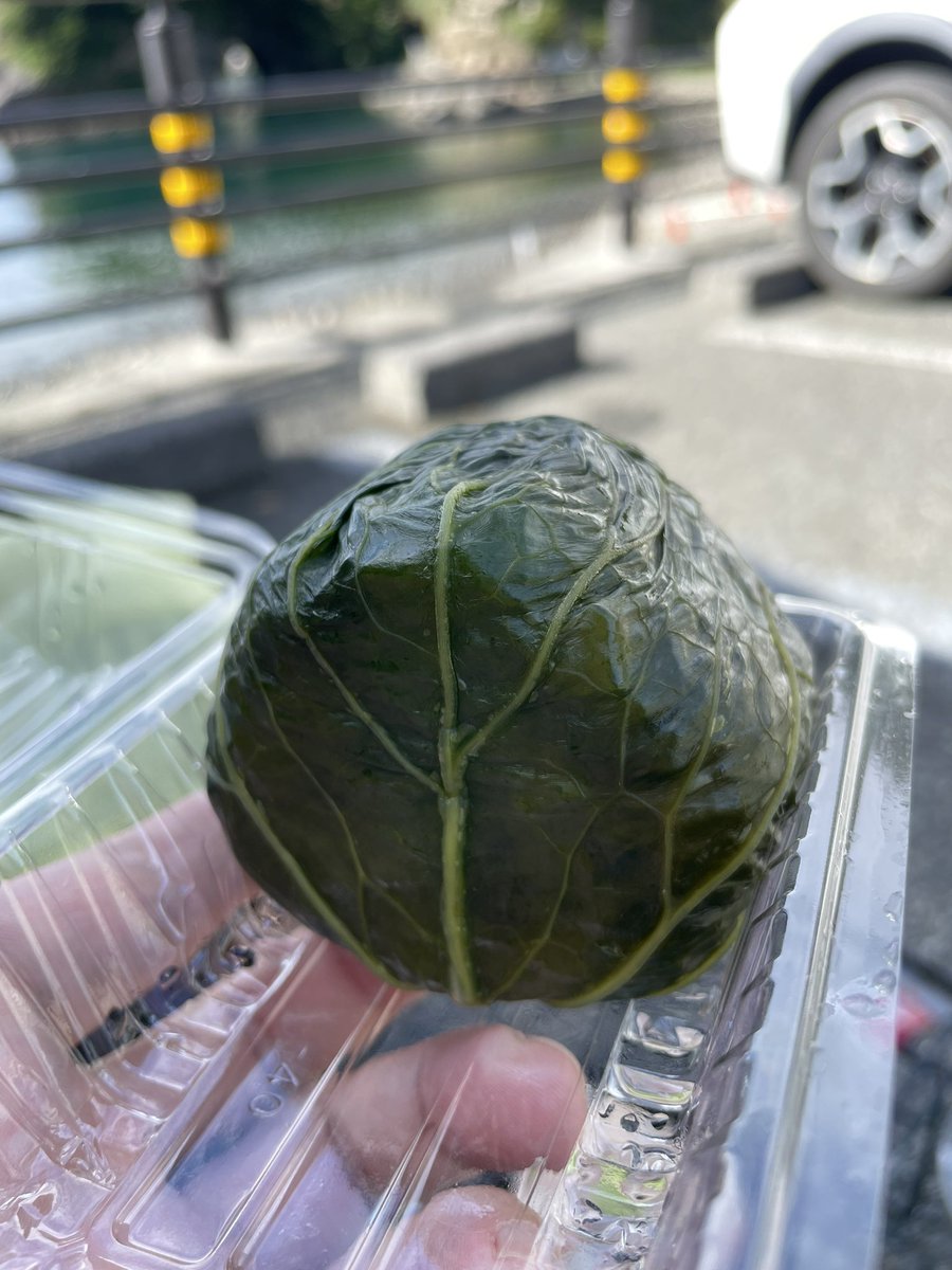 uchida_1303's tweet photo. SUP後は、波の音聴きながらご飯🍚

わさび菜のおむすび美味い！！

最高すぎる🥹✨ https://t.co/eVilYtR82j