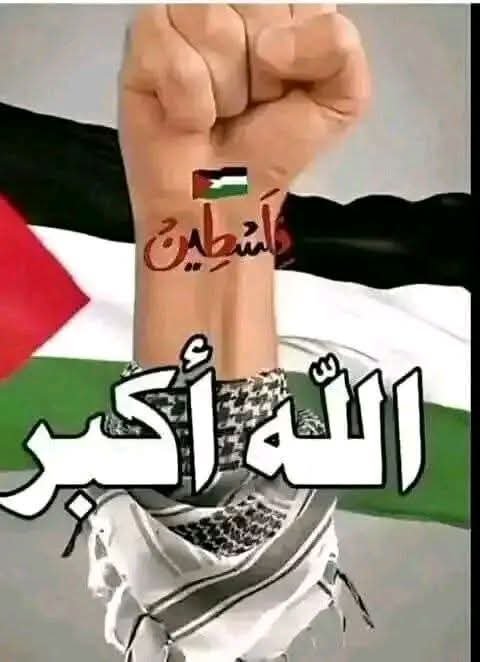 Badawi_197444's tweet photo. @Ania27El حسبنا الله ونعم الوكيل في كل الظالمين الله ينتقم من كل الظالمين ومن والاهم😢😢😢. https://t.co/I4vzDNkOSH
