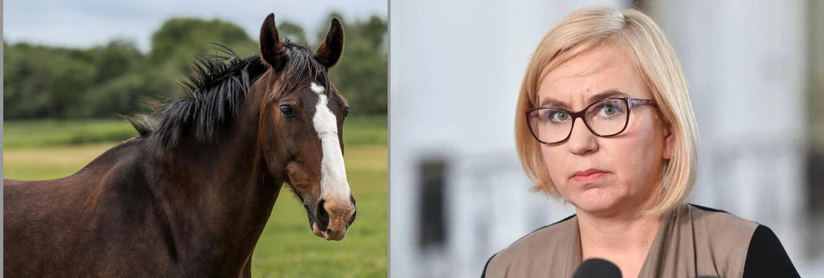 AbramczykPawel's tweet photo. Miesięczne utrzymanie koni w ośrodku prezydenckim kosztuje 18 tysięcy,a tej Pani👇 od przyspawanych zakrętek i śmiecio-kaucji 25 tysięcy.
Ja wolę dawać na konie🤔. https://t.co/dQFPA0MJWK