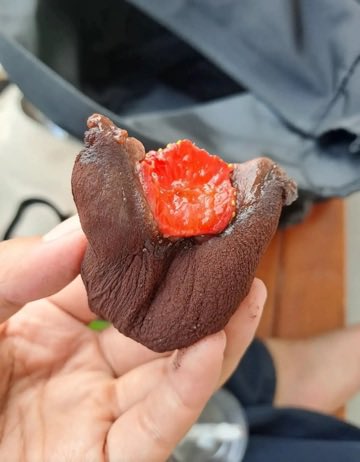 sosmedkeras's tweet photo. Pertama kali buat mochi, ada yg minat kah? https://t.co/ct8n4FSYcN