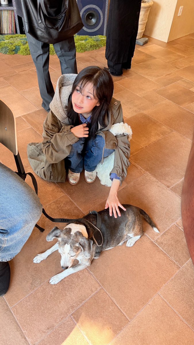 kate_42224's tweet photo. 散財しよう

 #babymonster  #ahyeon https://t.co/762VjfPsPi