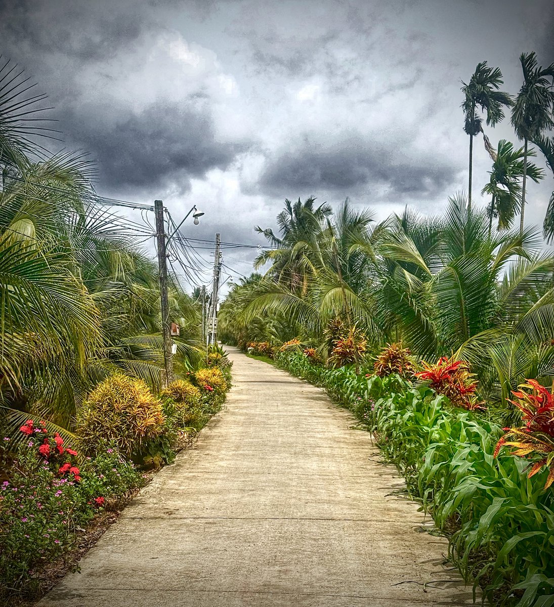 JadeKleinjan's tweet photo. A random alley in the Mekong Delta led us to a new adventure. The best way to discover Vietnam is to stay curious and open to whatever comes next. https://t.co/9lpKG0jEW2