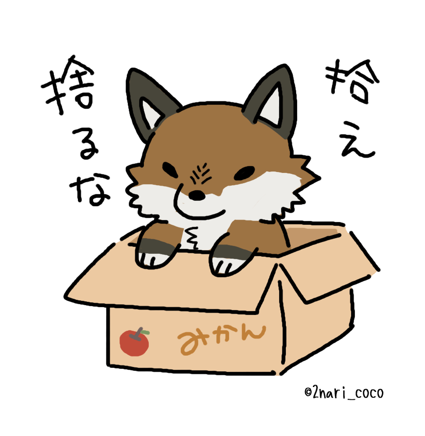 2nari_coco's tweet photo. #狐の八重ちゃん　こういう、ぬいぐるみ計画 https://t.co/KUDvtJTpSa