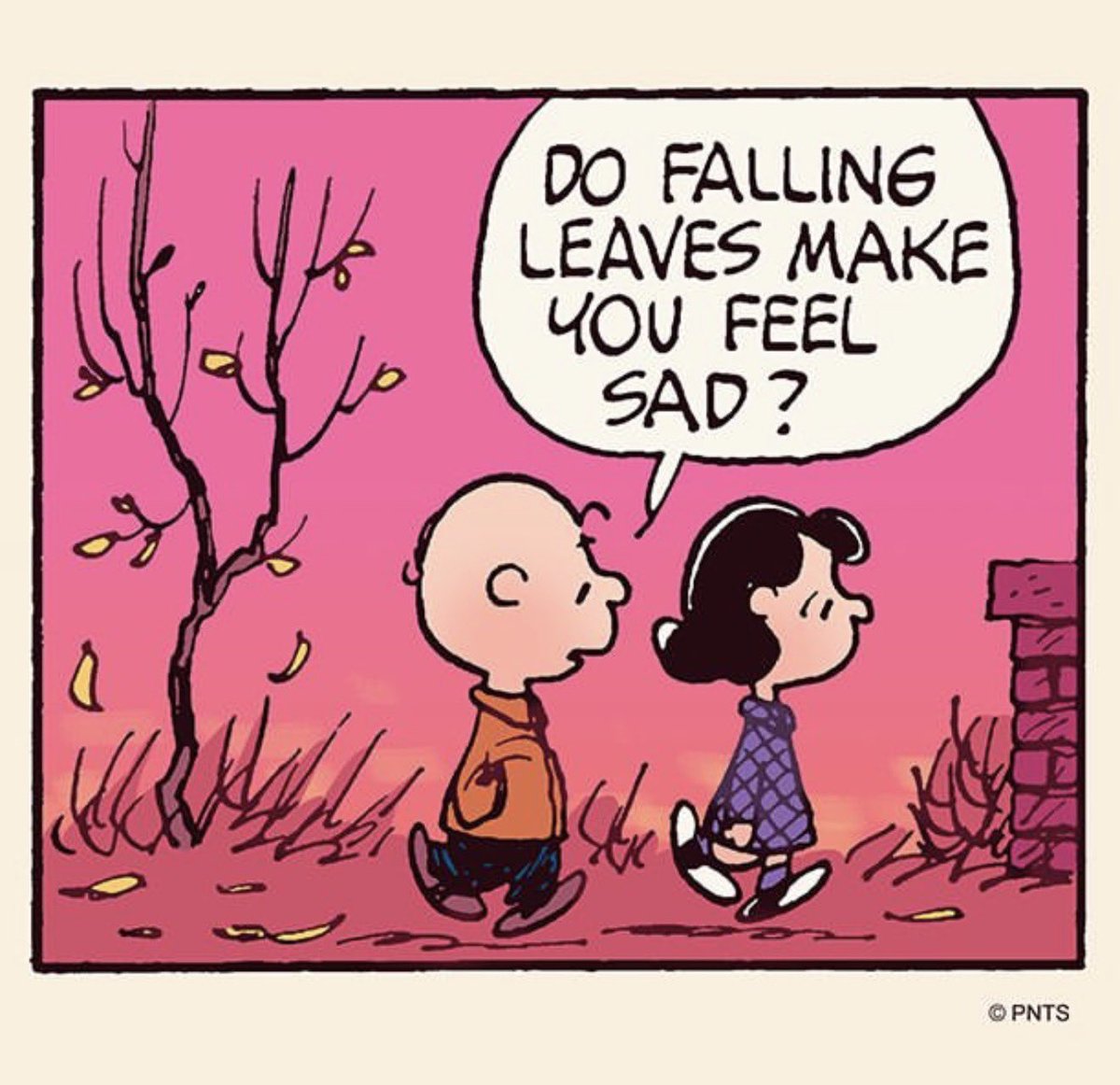 deemg46's tweet photo. Autumn teaches us that letting go can be beautiful too❤️🍁🍂 https://t.co/UoMxTyCxJI