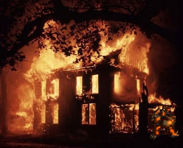 DolliesHospital's tweet photo. [INT BAIT!]

[On your walk, to see.. A raging inferno where a home once stood, the fire raging. An unfamiliar rabbit steps out of the blaze, shaking off embers before planting his stare right on you. He waves, it isn't menacing, in fact it seemed quite friendly.]

[Go closer?] https://t.co/AW4xExuKoa
