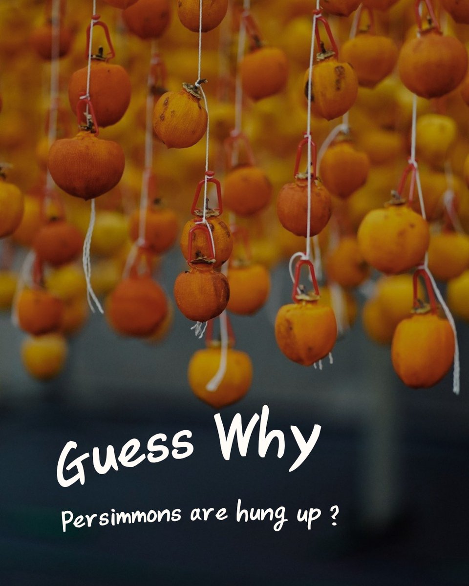 BleykEvn's tweet photo. Why hang persimmons? In Đà Lạt, ripe fruit is peeled and air-dried for weeks, slowly transforming into hồng treo gió: soft, naturally sweet and honey-like with a distinctive texture. https://t.co/DNfZkaBcn2