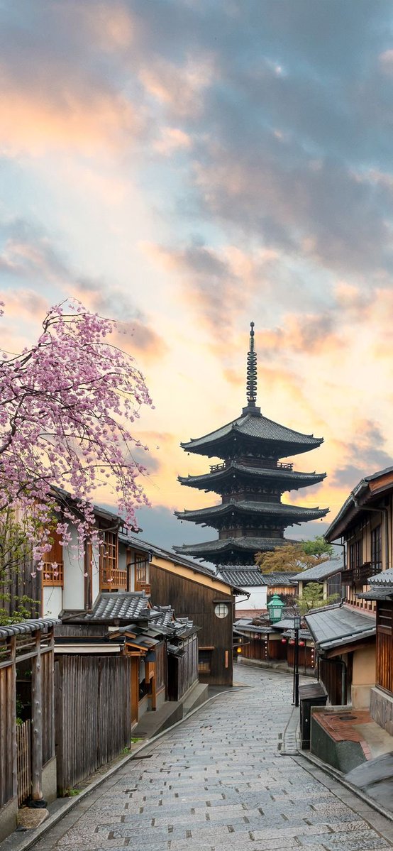 pictures033's tweet photo. Beautiful Kyoto, Japan 🇯🇵 https://t.co/bqQcGJ1an6