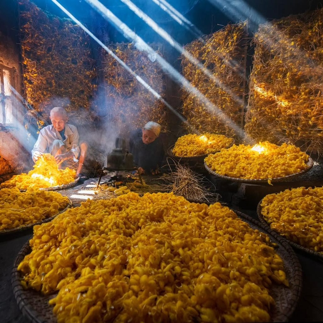 jakeline_barros's tweet photo. Silkworm Cocoon Drying, Third Prize winner at the Thái Bình Beautiful Photo Contest 2025, captured by photographer Đào Cảnh. A vivid glimpse into Vietnam’s rich traditions and vibrant textures. https://t.co/OHrlo89rM1