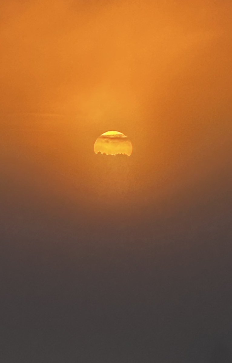 TimTim292's tweet photo. Sunrise Exe Estuary and a Rook Powderham Church Devon @WeathwatchUK @weatherchannel @DevonLife @DevonLiveNews https://t.co/eBO655DRx1