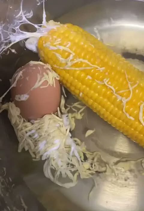 gdutqn's tweet photo. day one belajar masak JUJUR… aku hampir buang semuanya😭 tadinya rebus jagung sama telur. sesimpel itu. Tapi begitu pancinya dibuka, aku langsung ngerasa ada yang aneh. Di telur dan jagungnya muncul benang-benang putih panjang yang nempel ke mana-mana AKU KAGET BANGET INI APAA?! https://t.co/m6jlEx8jcT