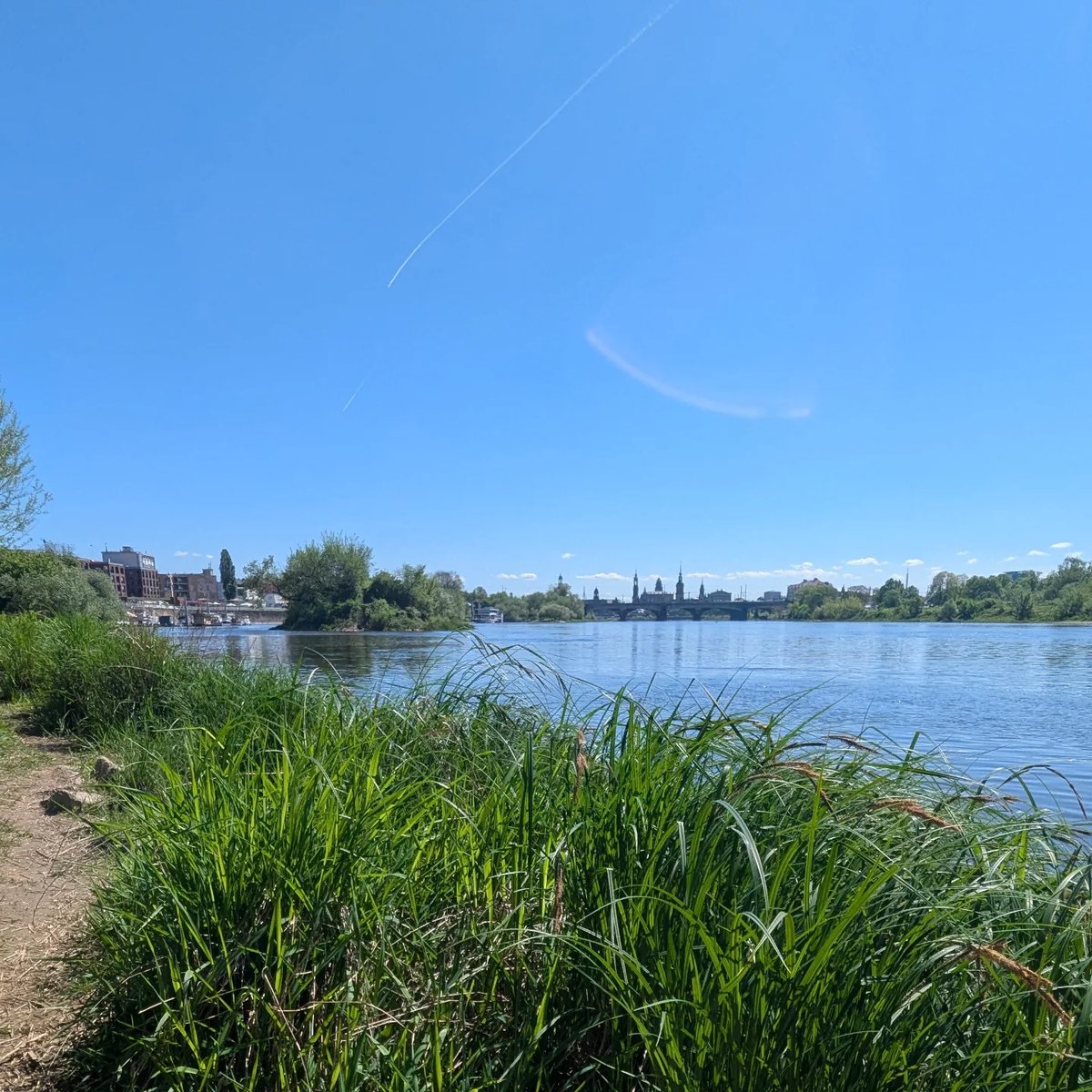 ferplatence's tweet photo. Frühling auf Sächsisch. https://t.co/qRABeKvt5r