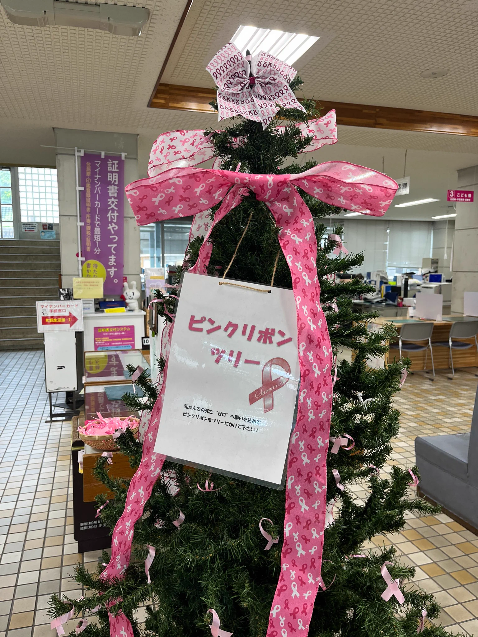 瀬戸内町 on X: 