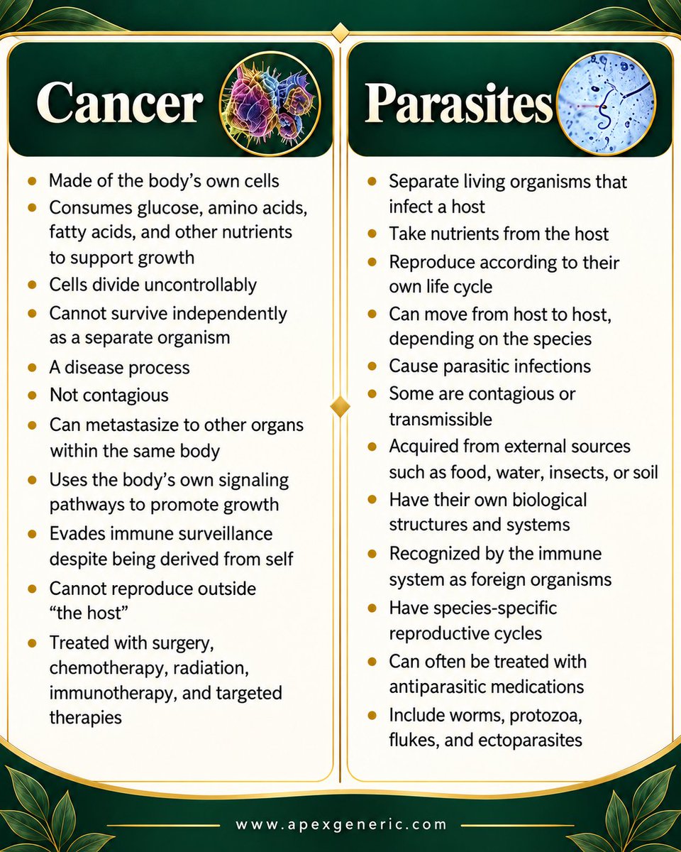 apexgeneric's tweet photo. Curious about antipar@sitic meds and canc€r research? 🔬 Swipe through to explore the science, evidence, and common misconceptions.
Stay curious. Stay informed.
#Iver
#Fenben
#Meben
#HealthEducation
#ApexGeneric https://t.co/QkDWgXIZaN