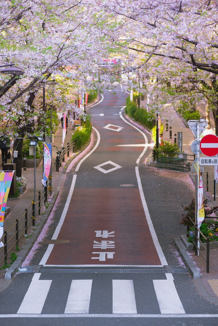 AdwityaMedia's tweet photo. ばばあと良牙の再会。3期のこういうシリアスシーンすごく良い https://t.co/vEsnooM9jO
