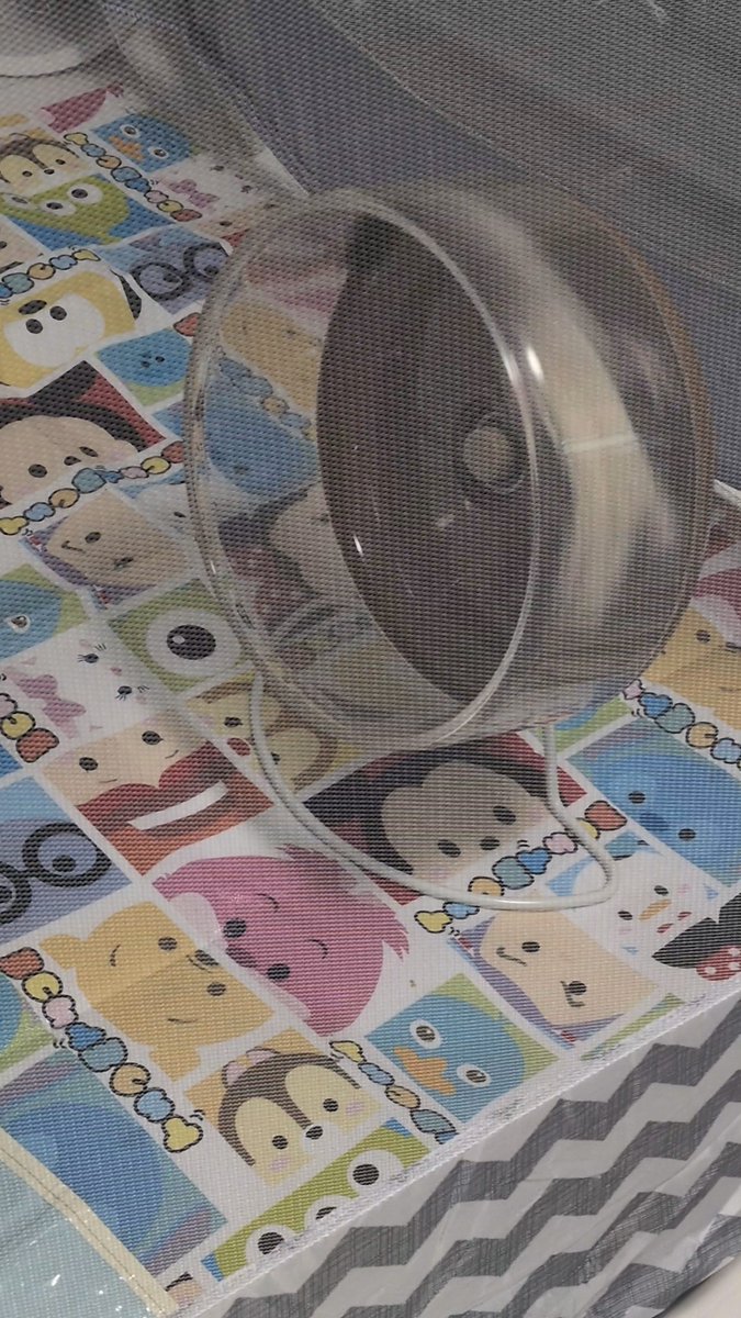A mesh laundry bag containing a black item rests on top of fabric printed with a colorful grid of Disney Tsum Tsum characters.