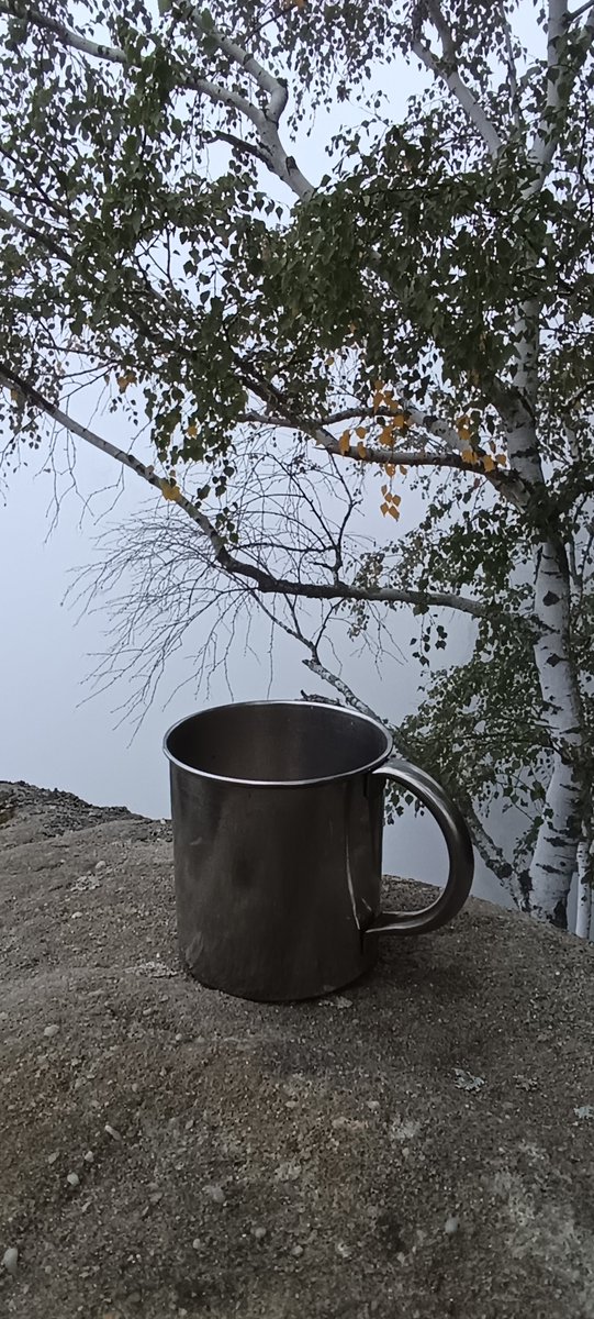 photogirl_marie's tweet photo. Gode Morgen 
Wie ihr seht , sieht man nix
Also erst Mal Kaffee https://t.co/ONL5ZkXcvI