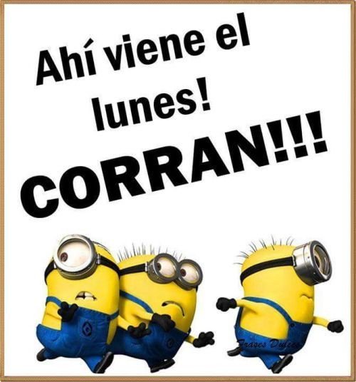 steffww_10's tweet photo. Adios domingo hola lunes 😢😢😢 https://t.co/U3OKXgG8SQ