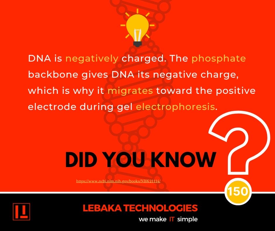 LebakaVijendra's tweet photo. Unveiling the marvels within! our bodies are a masterpiece of nature!
#humanbodywonders #bodyfacts #sciencemarvels #exploreyourbody #mindblown #healthfacts #didyouknow #bodyandmind #biofacts #incrediblebody #discoveryourself #amazinghumanbody #healthscience https://t.co/ajXoJQdo3q