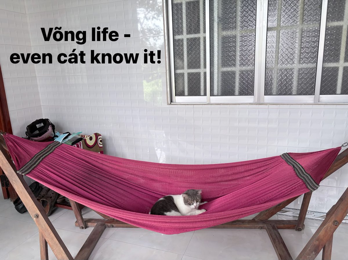 ochamaco27's tweet photo. Võng life is for everyone. This little one gets it. https://t.co/Znr0NX0idL