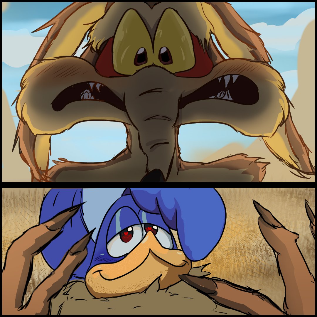 Nijisoto's tweet photo. Amo esta ship.
#wilroad #wileecoyote #roadruner #fanart https://t.co/V9JRQrWJxR