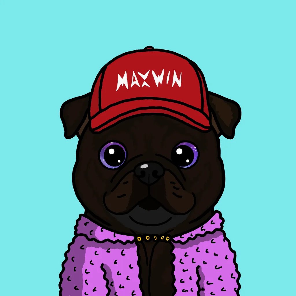 POCUSMETAX's tweet photo. Take it to the MAX

@Maxthedog77 @peak_arf 

🦴💎 https://t.co/phORsOK0dx