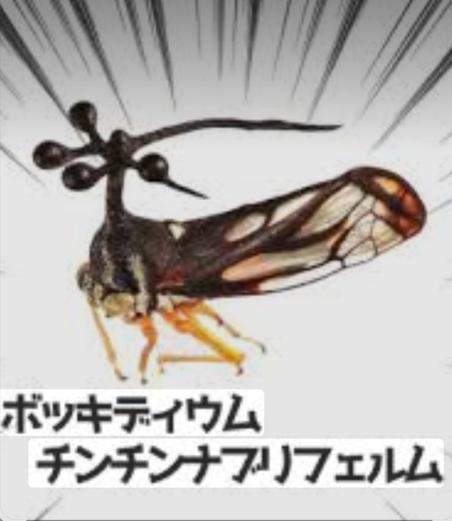 POCK_N17's tweet photo. ボッキディウム・チンチンナブリフェルム。すごい名前。 https://t.co/vtRnK8Bb5C