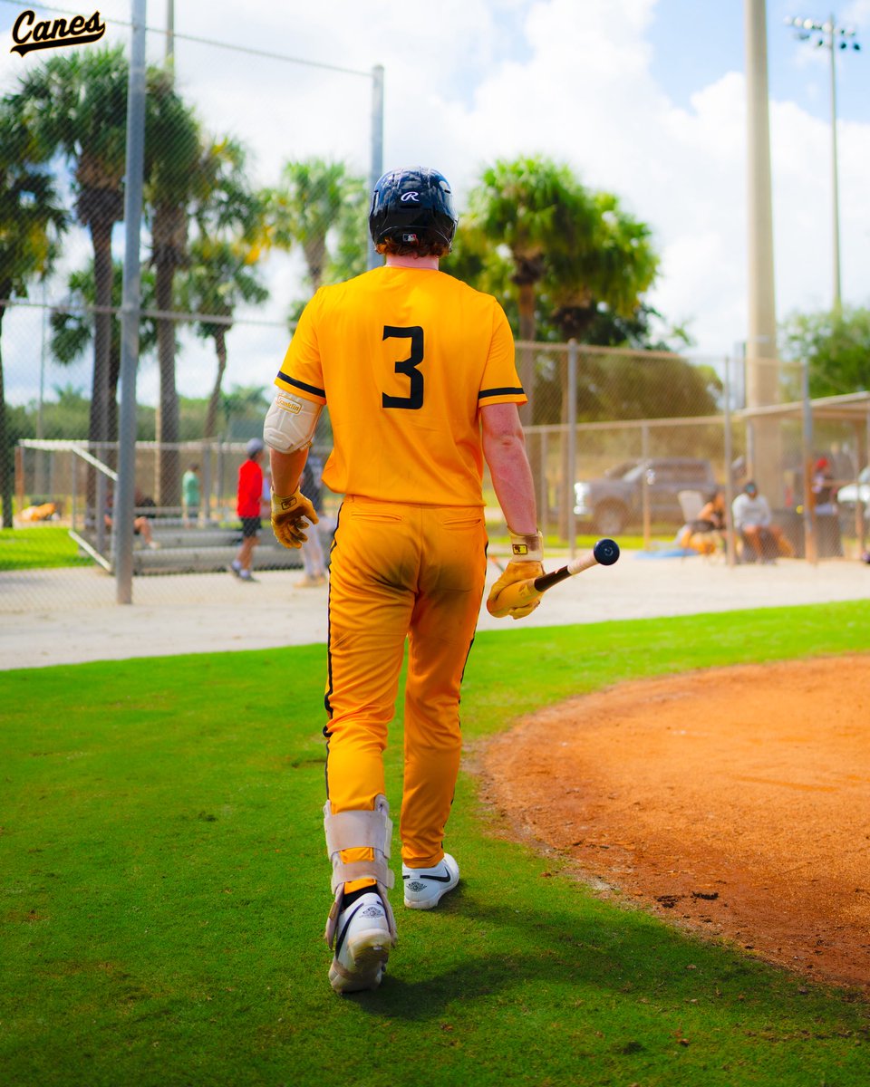 TheCanesBB's tweet photo. Gold standard⚡️

#thecanes #DifferentBrandOfBaseball https://t.co/DF0cwreYN6