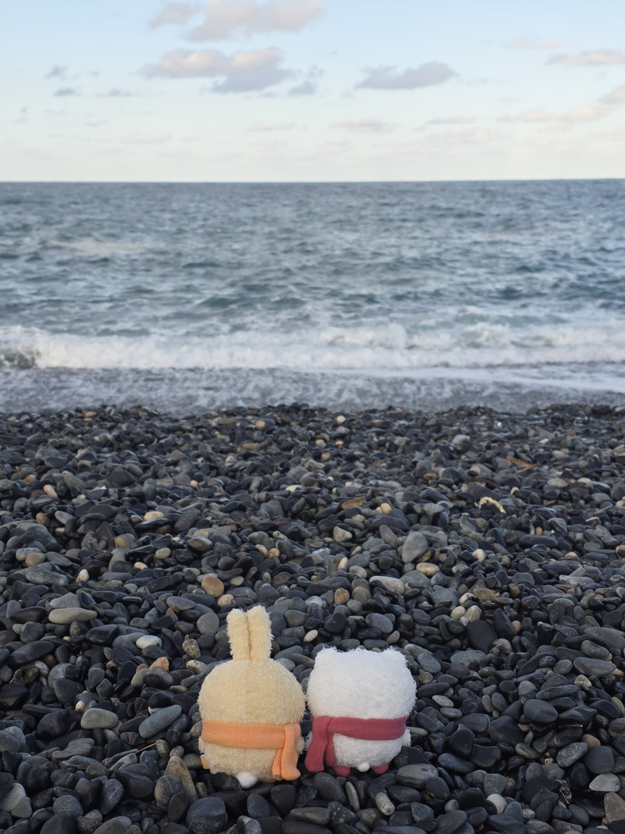 sylvanian_luv's tweet photo. 치이랑 우사기랑 바다 구경 https://t.co/30SHqeZ6b7