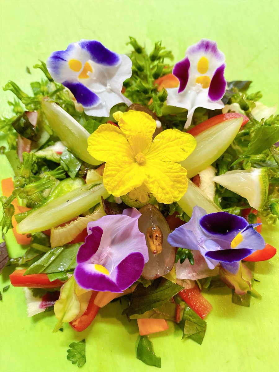 aslan20200602's tweet photo. 今朝の鳥サラダ🥗 https://t.co/WJWxoEgdRP
