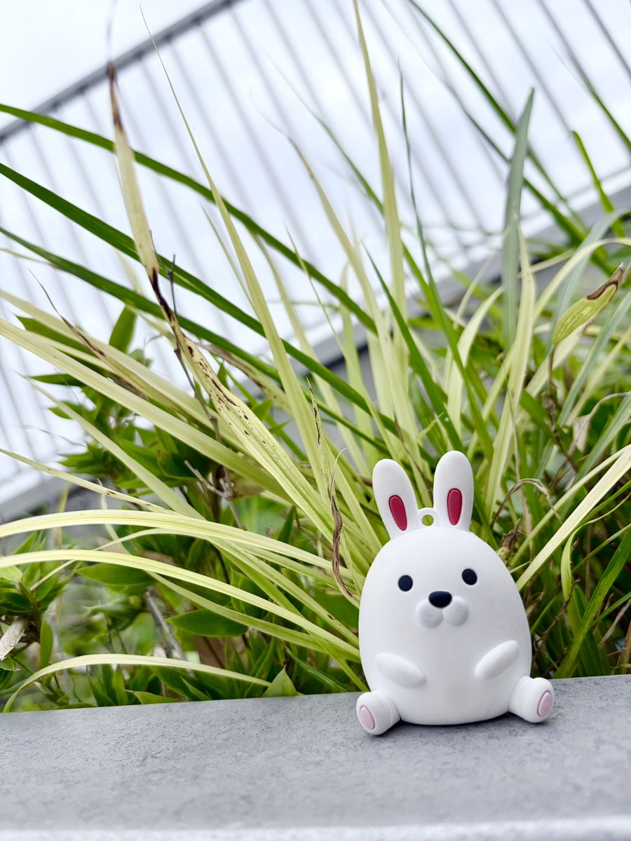hmc_mobipyon's tweet photo. モビぴょん日記
モビぴょんから草🌱

10月5日（月）天気：くもり 気温：24℃

#モビぴょん 
#HONDA 
#企業公式が毎朝地元の天気を言い合う https://t.co/rUr4OPQPY7