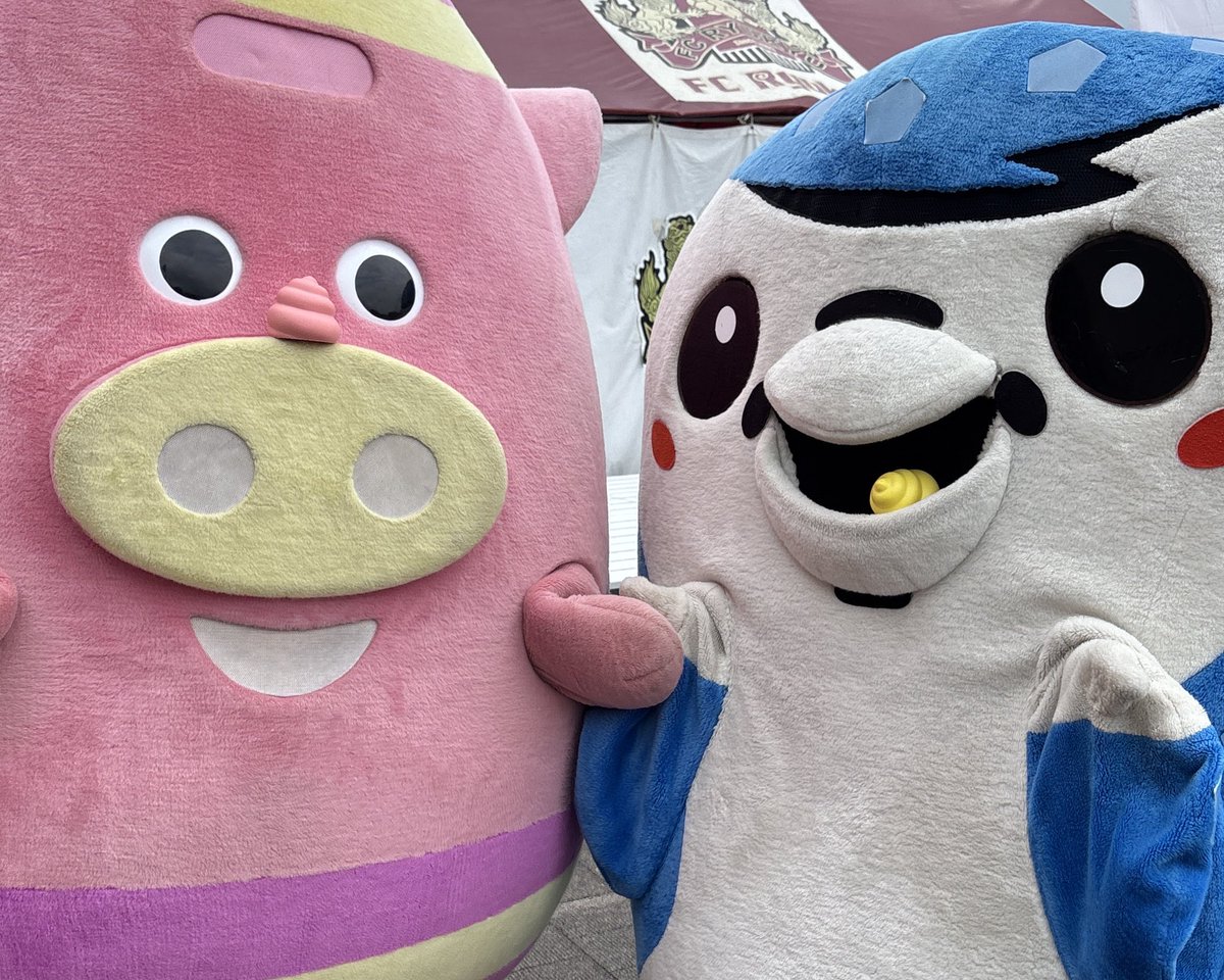 jinbe_nho's tweet photo. おはにょ🐽💩

#FC琉球 #ジンベーニョ https://t.co/iYS0M2Xiew