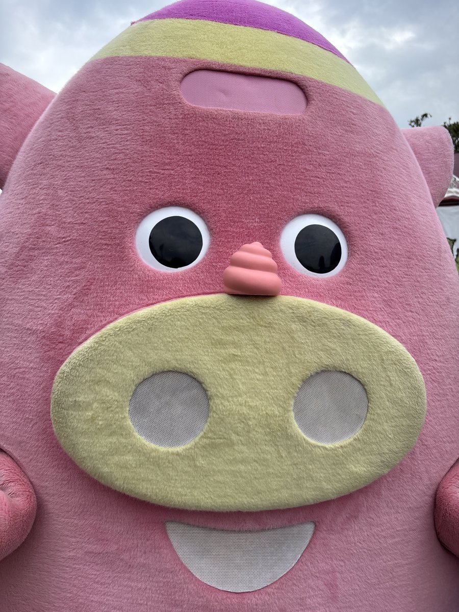 jinbe_nho's tweet photo. おはにょ🐽💩

#FC琉球 #ジンベーニョ https://t.co/iYS0M2Xiew