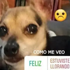 evymalbado's tweet photo. https://t.co/gqTsMFP8nf