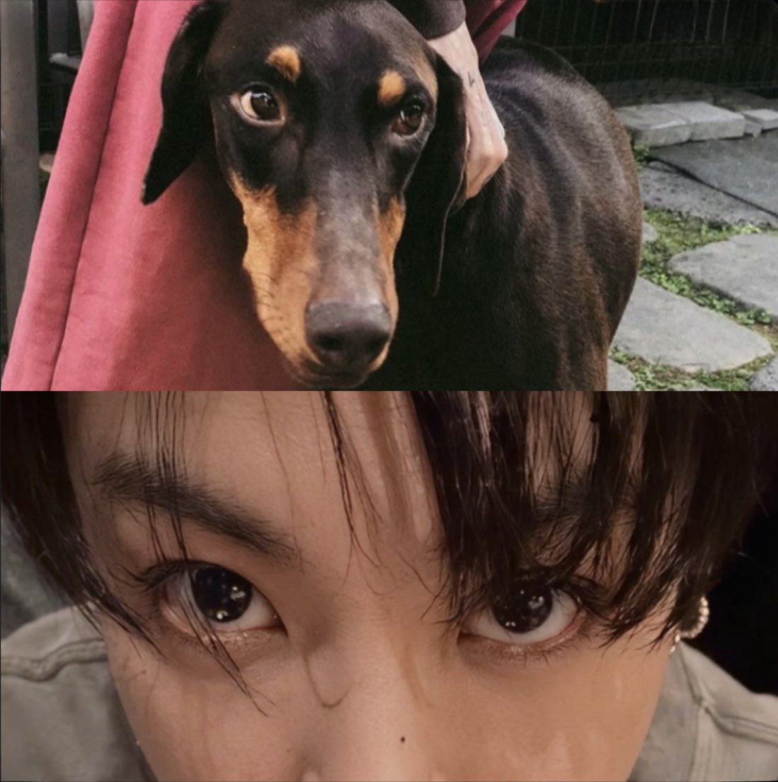 diaryjeons's tweet photo. like father, like son ♡ https://t.co/x9TjxQxFBk