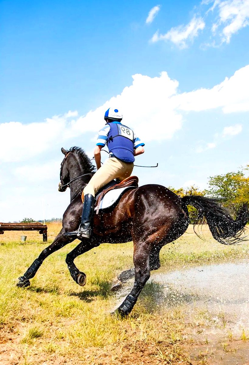 EmilyMorrimsct's tweet photo. [Rider pulls brake abruptly as the horse makes a noise—unique trail moment!]， https://t.co/emVALjNuY6