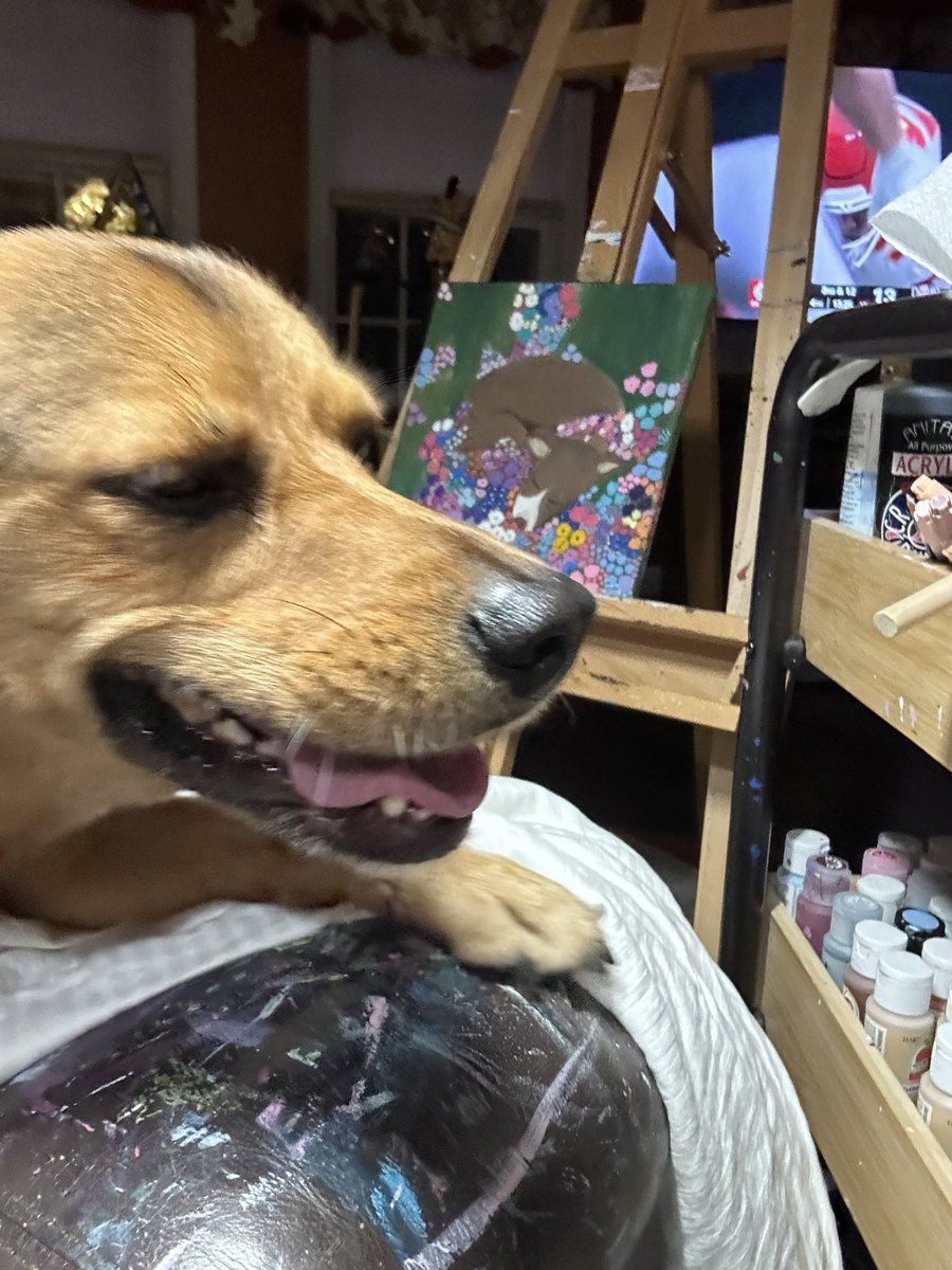 JackieSarahBack's tweet photo. Me: I’m going to paint
Rosey: no https://t.co/TmsXgnHPIB