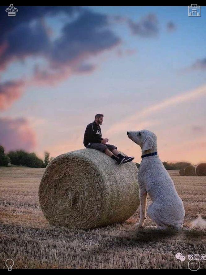 suzu2219's tweet photo. Clara nodded, resting her head on his shoulder. “That sounds perfect. A life filled with love, with picnics, with you. That’s all I’ve ever wanted.”💼Back yoga Breathing, calmed https://t.co/tueHzsql9i