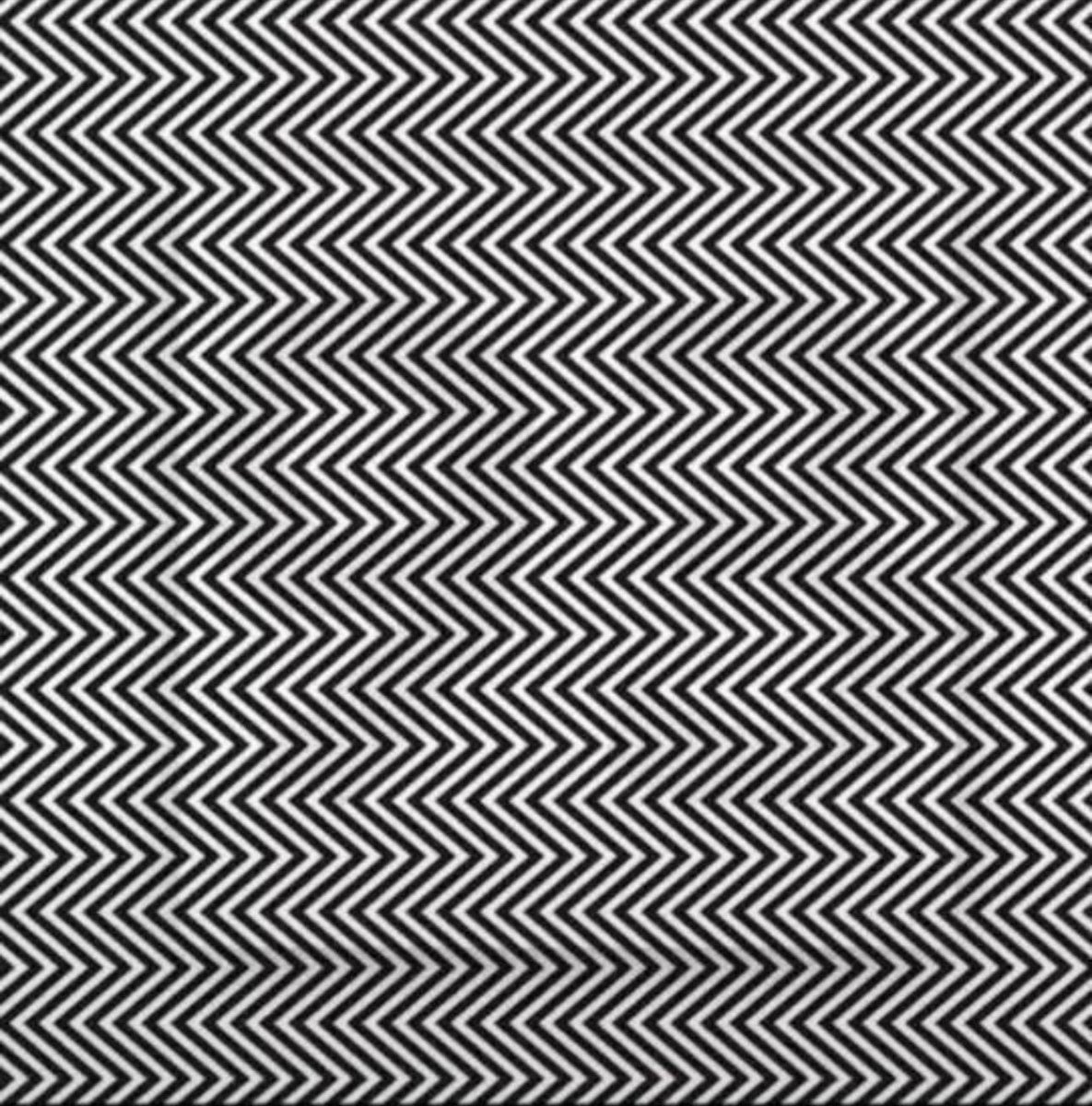 hoafrontlines tweet picture