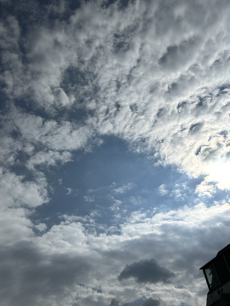 simpl252 tweet picture